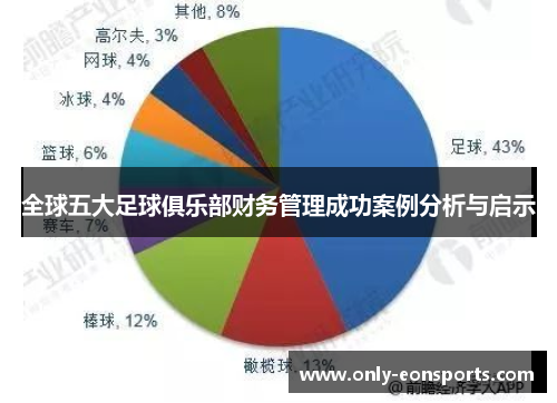 全球五大足球俱乐部财务管理成功案例分析与启示