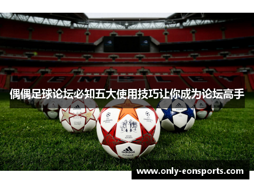 偶偶足球论坛必知五大使用技巧让你成为论坛高手