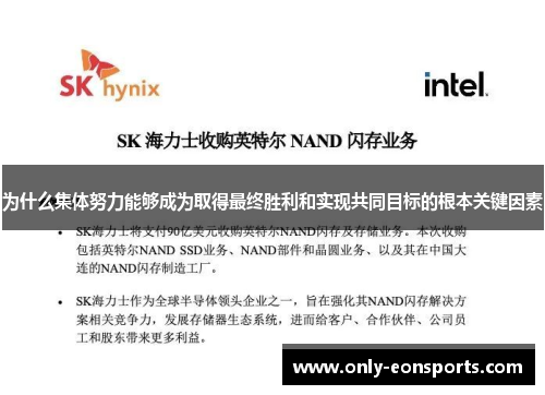为什么集体努力能够成为取得最终胜利和实现共同目标的根本关键因素